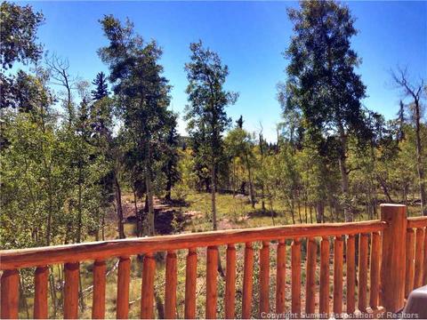 336 Arapahoe Cir, Como, CO 80456 photo 7