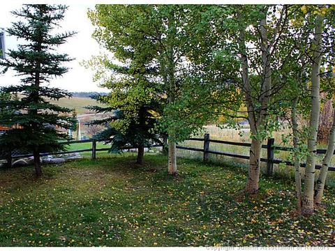 587 Coyote Dr, Silverthorne, CO 80498 photo 23