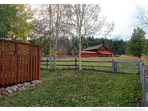 587 Coyote Dr, Silverthorne, CO 80498 photo 24