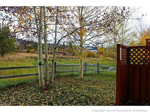 587 Coyote Dr, Silverthorne, CO 80498 photo 22