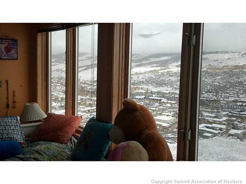 352 Lake View Dr, Silverthorne, CO 80498 photo 10