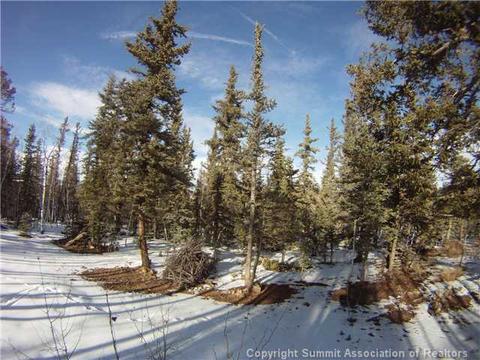 731 Wampum Ln, Como, CO 80456 photo 18