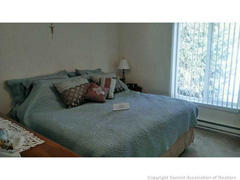 404 Cascade Cir, Silverthorne, CO 80498 photo 3
