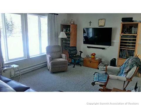 404 Cascade Cir, Silverthorne, CO 80498 photo 5