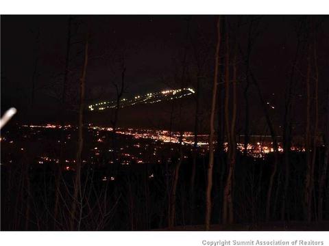 29 Agate Rd, Silverthorne, CO 80498 photo 25