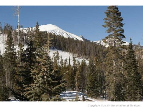 29 Agate Rd, Silverthorne, CO 80498 photo 23