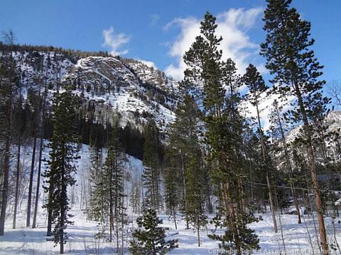 245 Pine Dr, Frisco, CO 80443 photo 4