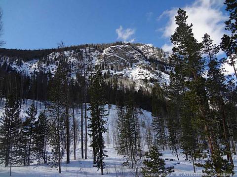 245 Pine Dr, Frisco, CO 80443 photo 3