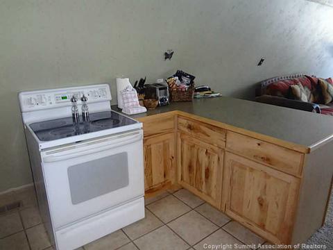 245 Pine Dr, Frisco, CO 80443 photo 11