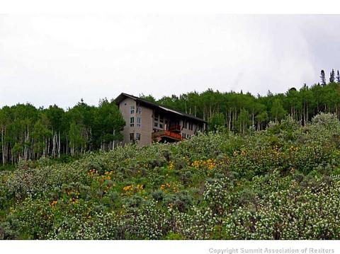1858 Johnson Rd, Silverthorne, CO 80498 photo 1