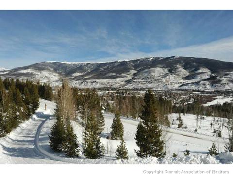 685 Emerald Rd, Silverthorne, CO 80498 photo 24