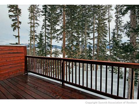 103 Bashore Ct, Silverthorne, CO 80498 photo 8