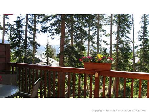 103 Bashore Ct, Silverthorne, CO 80498 photo 20