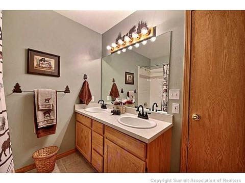 103 Bashore Ct, Silverthorne, CO 80498 photo 15