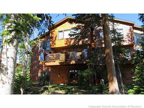 103 Bashore Ct, Silverthorne, CO 80498 photo 19