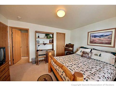 103 Bashore Ct, Silverthorne, CO 80498 photo 13