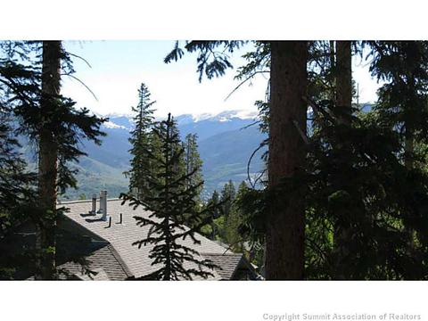 103 Bashore Ct, Silverthorne, CO 80498 photo 21