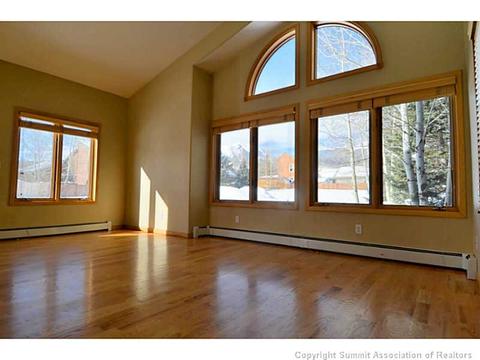 229 Rabbit Ct, Silverthorne, CO 80498 photo 4