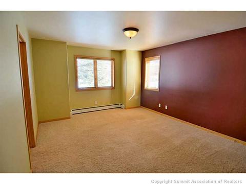 229 Rabbit Ct, Silverthorne, CO 80498 photo 9