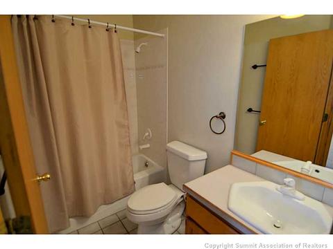 229 Rabbit Ct, Silverthorne, CO 80498 photo 18
