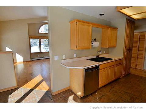 229 Rabbit Ct, Silverthorne, CO 80498 photo 7