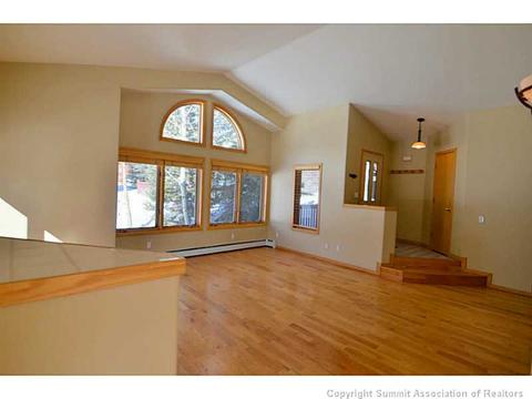 229 Rabbit Ct, Silverthorne, CO 80498 photo 8