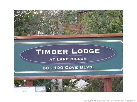 100 Cove Blvd #E, Dillon, CO 80435 photo 14