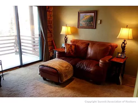 100 Cove Blvd #E, Dillon, CO 80435 photo 2