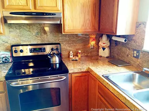 100 Cove Blvd #E, Dillon, CO 80435 photo 5