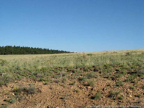 21 Sol Way, Como, CO 80432 photo 7