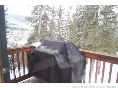 196 High Meadow Dr, Dillon, CO 80435 photo 19