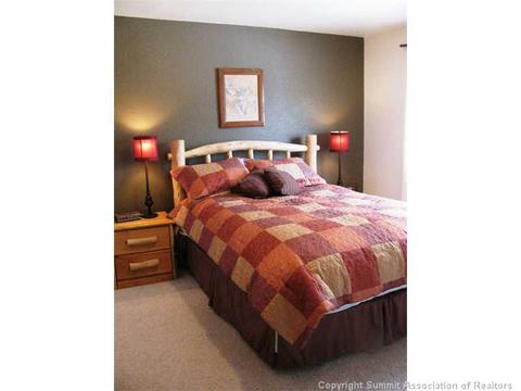 707 Willowbrook Rd, Silverthorne, CO 80498 photo 12