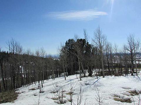 170 Sanderling Ct, Como, CO 80432 photo 5