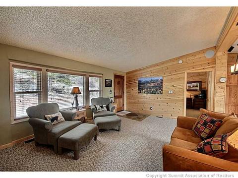 565 Bonnell Dr, Fairplay, CO 80440 photo 5