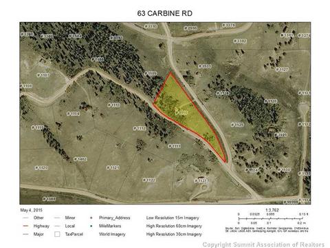 63 Carbine Rd, Como, CO 80432 photo 13
