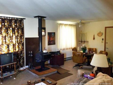63 Carbine Rd, Como, CO 80432 photo 3