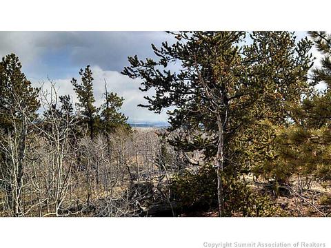 153 Bufflehead Cir, Como, CO 80432 photo 4