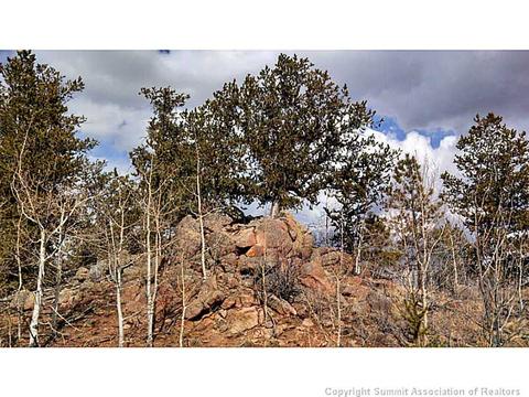 153 Bufflehead Cir, Como, CO 80432 photo 9