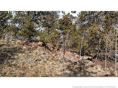 153 Bufflehead Cir, Como, CO 80432 photo 5