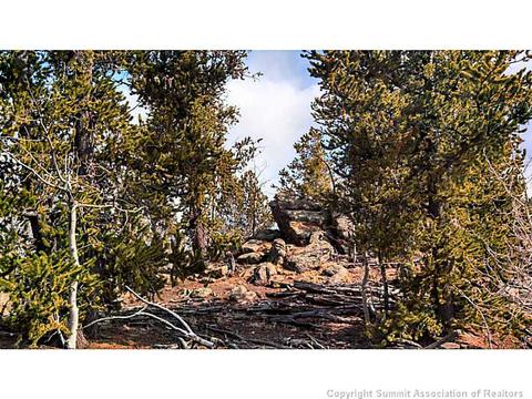 153 Bufflehead Cir, Como, CO 80432 photo 6