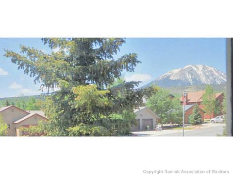 226 Rabbit Ct, Silverthorne, CO 80498 photo 3