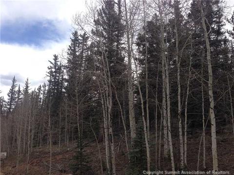 236 Pepperbox Path, Como, CO 80432 photo 3
