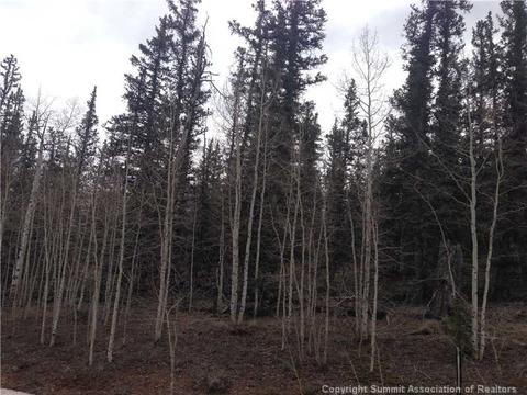 236 Pepperbox Path, Como, CO 80432 photo 2