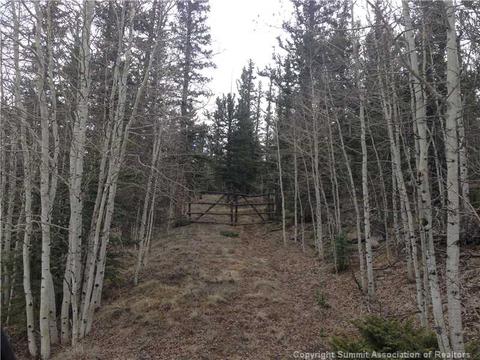 236 Pepperbox Path, Como, CO 80432 photo 1