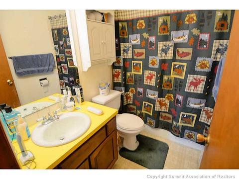 92 Alpine Rd, Dillon, CO 80435 photo 14