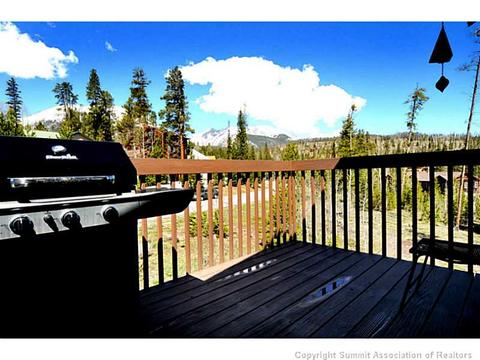 204 Cutty Sark Ct, Silverthorne, CO 80498 photo 7