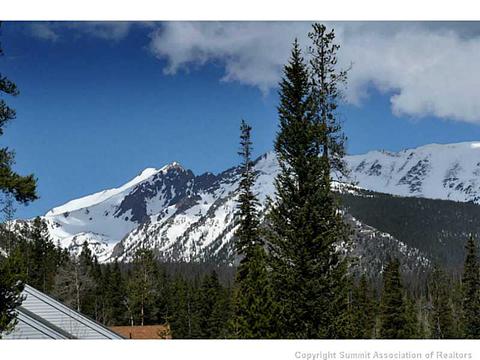 204 Cutty Sark Ct, Silverthorne, CO 80498 photo 8