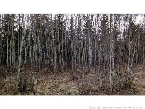 1207 Warrior Cir, Como, CO 80432 photo 7