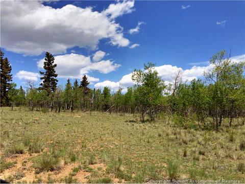 1207 Warrior Cir, Como, CO 80432 photo 1
