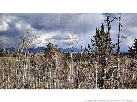 1207 Warrior Cir, Como, CO 80432 photo 4